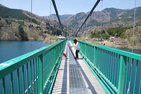 20120505DSC_5304.jpg