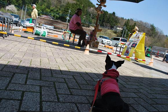 20120505DSC_5329.jpg