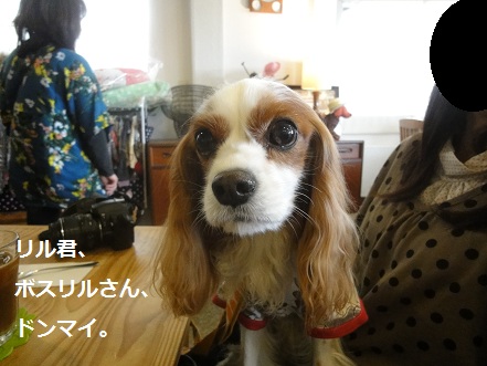 リアンさん4