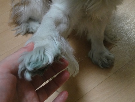 家で11