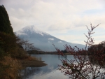 DSC01202.jpg