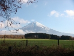 DSC01210.jpg