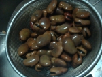 DSC01244.jpg