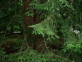 IMGP2261.jpg