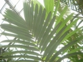 IMGP2416X.jpg