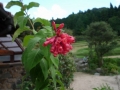 P1140416.jpg