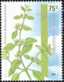 starg0403.jpg
