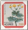 stazo0301.jpg