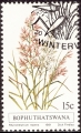 stbop0202.jpg