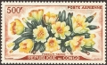 stcng0803.jpg