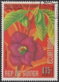 stgui0714.jpg