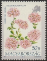 sthun2804.jpg