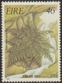 stire0603.jpg