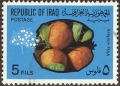 stirq0102.jpg
