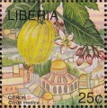 stlib0308.jpg