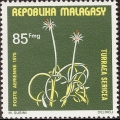 stmlg0105.jpg