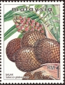 stmly0104.jpg