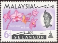 stmly1404.jpg
