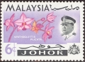 stmly1421.jpg
