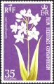 stnhb0103.jpg