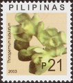 stphi0102.jpg