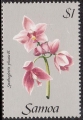 stsmo0704.jpg