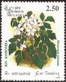 stsri0201.jpg