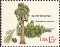stusa0801.jpg