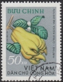 stvtn2905.jpg