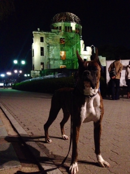 20131209-10.jpg