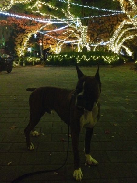 20131209-11.jpg