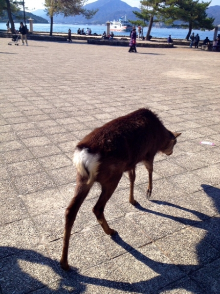 20131209-8.jpg