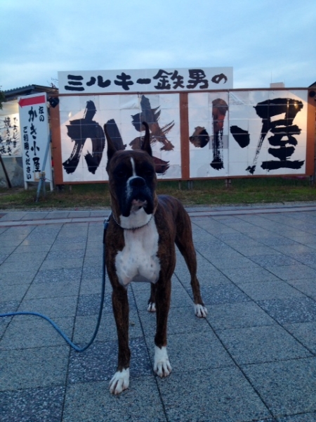 20131209-9.jpg