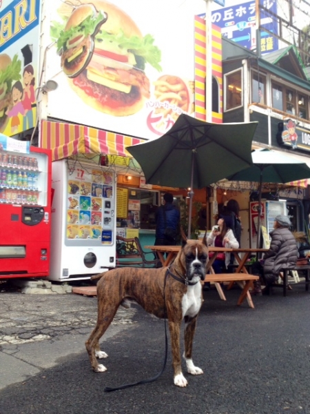 20131216-1.jpg