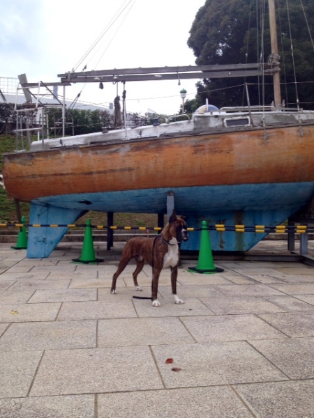 20131216-3.jpg