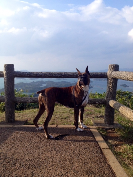 20131216-5.jpg