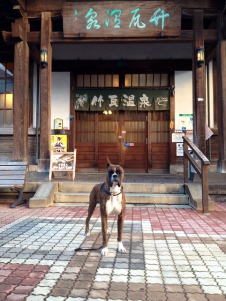 20131218-3.jpg