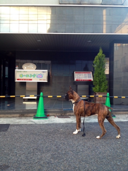 20131218-5.jpg