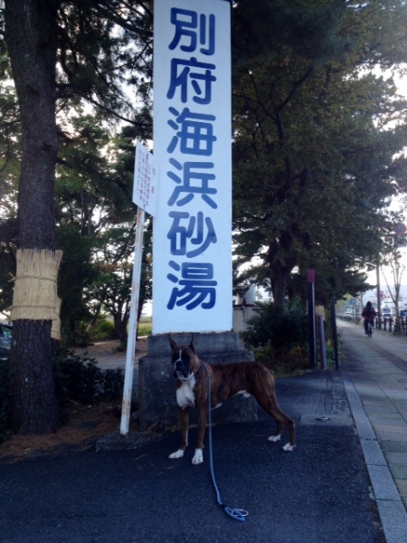 20131218-6.jpg