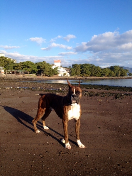 20131221-2.jpg