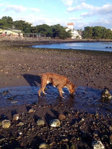 20131221-3.jpg