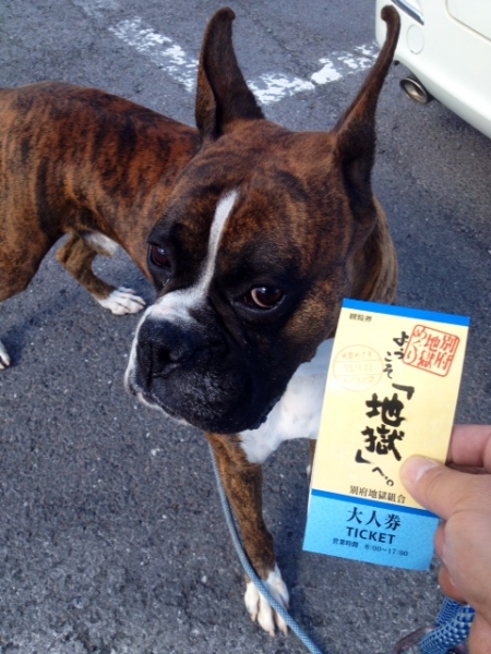 20131221-5.jpg