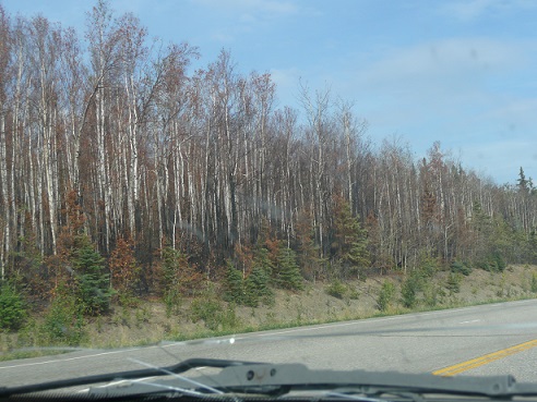P1040649_2.jpg