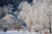 大雪