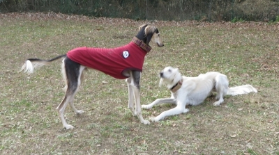 20140103001.jpg