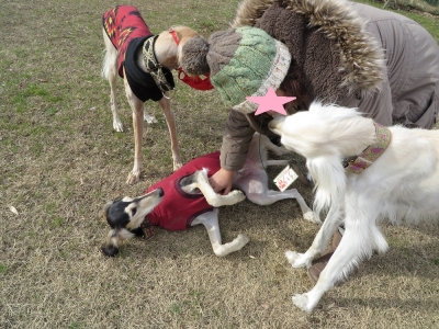 20140103011.jpg