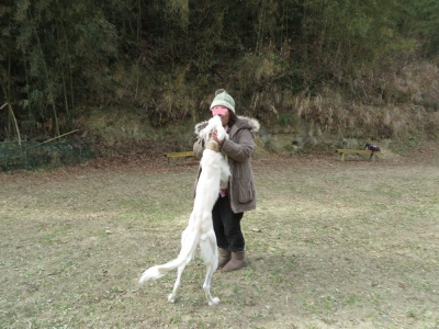 20140103012.jpg