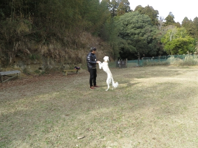 20140103013.jpg
