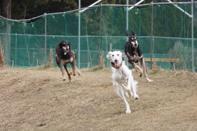 20140125003.jpg