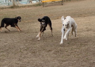 20140201001.jpg